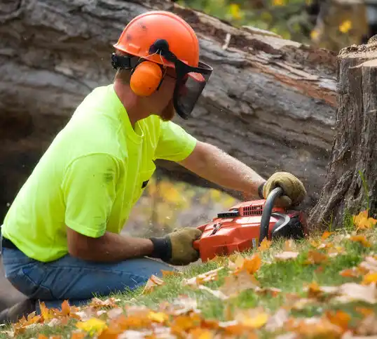 tree services Chesapeake Ranch Estates